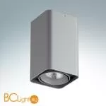 Накладной светодиодный светильник Lightstar Monocco 052139R