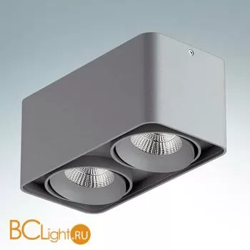 Накладной светодиодный светильник Lightstar Monocco 052129R