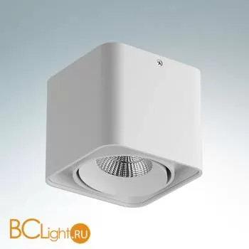 Накладной светодиодный светильник Lightstar Monocco 052116R