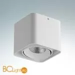 Накладной светодиодный светильник Lightstar Monocco 052116R