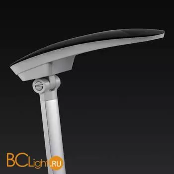 Настольная лампа Lightstar Muro 808937 - Фото 0