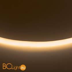 Гибкая светодиодная неоновая лента Lightstar Neoled 430202 9,6W 2800-3200K 220V