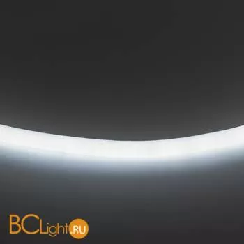 Гибкая светодиодная неоновая лента Lightstar Neoled 430204 9.6W 6000-6500K 220V