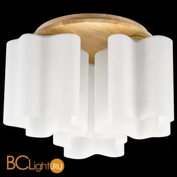 Потолочный светильник Lightstar Nubi legno 802035