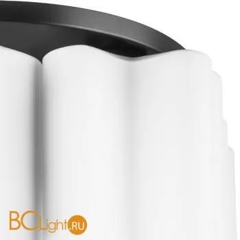 Люстра Lightstar Nubi 802077 - Фото 2