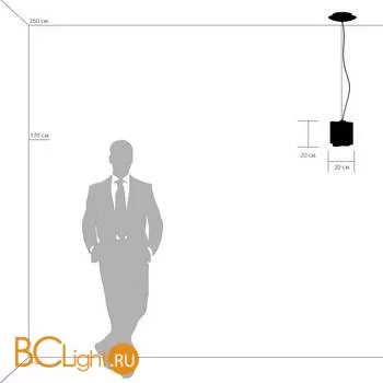 Подвесной светильник Lightstar Nubi 802117 - Фото 3