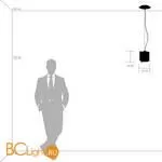 Подвесной светильник Lightstar Nubi 802117 - Фото 3