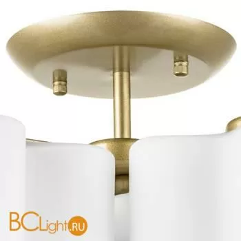 Потолочный светильник Lightstar Nubi 802033 - Фото 0