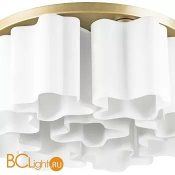 Потолочный светильник Lightstar Nubi 802093 - Фото 1