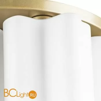 Потолочный светильник Lightstar Nubi 802093 - Фото 2