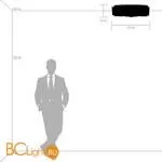 Потолочный светильник Lightstar Nubi 802093 - Фото 3