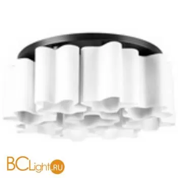 Потолочный светильник Lightstar Nubi 802097 - Фото 3