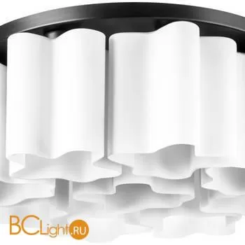 Потолочный светильник Lightstar Nubi 802097 - Фото 1