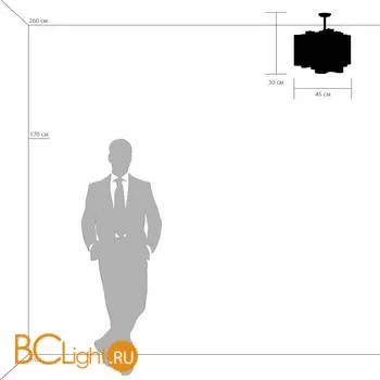 Потолочный светильник Lightstar Nubi 802037 - Фото 3