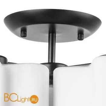 Потолочный светильник Lightstar Nubi 802037 - Фото 0