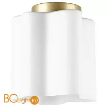 Потолочный светильник Lightstar Nubi 802013