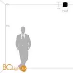 Потолочный светильник Lightstar Nubi 802013 - Фото 0