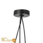 Подвесной светильник Lightstar Omega 727133 - Фото 0