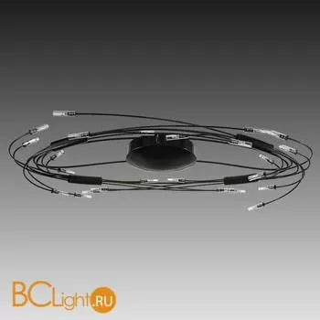 Потолочный светильник Lightstar Ovale 784247