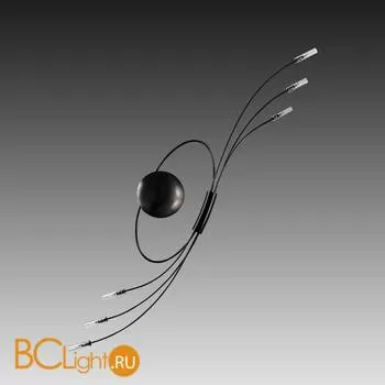 Настенно-потолочный светильник Lightstar Ovale 784667