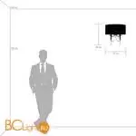 Бра Lightstar Paralume 725623 - Фото 0