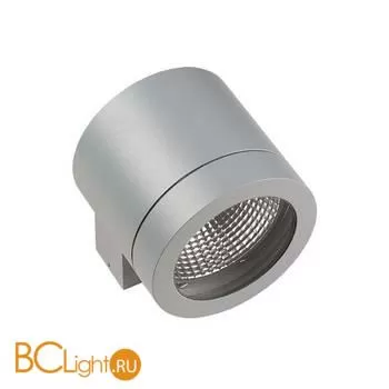 Настенный влагозащищенный светильник Lightstar Paro 350619 IP65