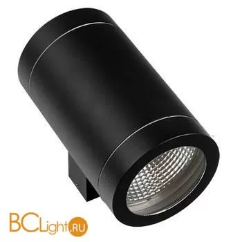 Настенный влагозащищенный светильник Lightstar Paro 351617