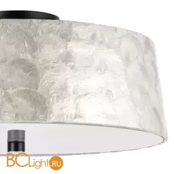 Потолочный светильник Lightstar Perla 707261 - Фото 0