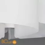 Потолочный светильник Lightstar Pittore 811050 - Фото 1