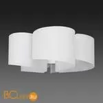 Потолочный светильник Lightstar Pittore 811050