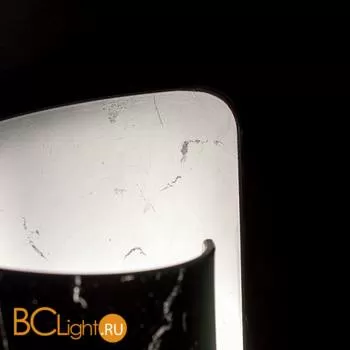 Настенный светильник Lightstar Pittore 811614 - Фото 1