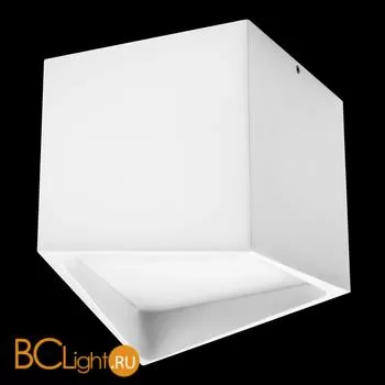 Спот (точечный светильник) Lightstar Quadro 211476