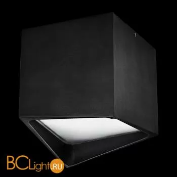 Спот (точечный светильник) Lightstar Quadro 211477