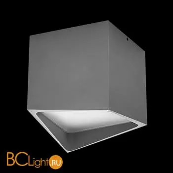 Спот (точечный светильник) Lightstar Quadro 211479