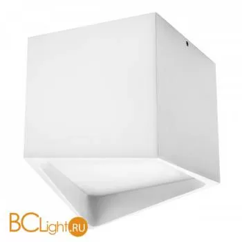 Спот (точечный светильник) Lightstar Quadro 214476