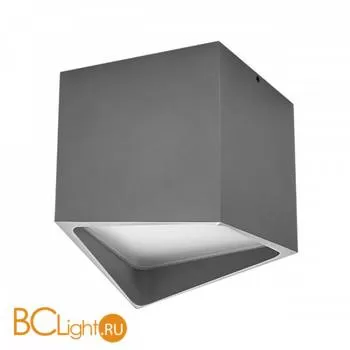 Спот (точечный светильник) Lightstar Quadro 214479