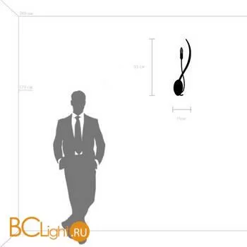 Бра Lightstar Ragno 733517 - Фото 0