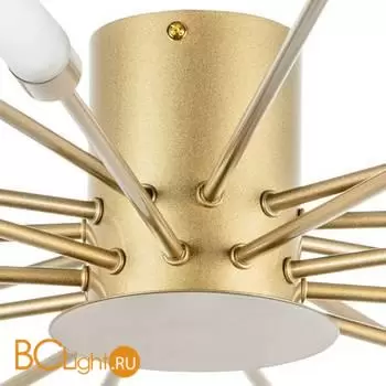 Потолочный светильник Lightstar Ragno 732203 - Фото 1