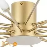 Потолочный светильник Lightstar Ragno 732203 - Фото 1