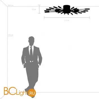 Потолочный светильник Lightstar Ragno 732283 - Фото 0