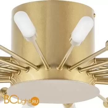 Потолочный светильник Lightstar Ragno 732283 - Фото 1