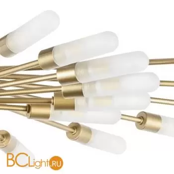 Потолочный светильник Lightstar Ragno 732283 - Фото 2