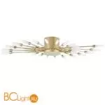 Потолочный светильник Lightstar Ragno 732283