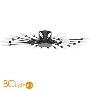 Потолочный светильник Lightstar Ragno 732287