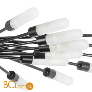 Потолочный светильник Lightstar Ragno 732287 - Фото 1