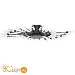 Потолочный светильник Lightstar Ragno 732287