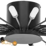 Потолочный светильник Lightstar Ragno 732287 - Фото 0