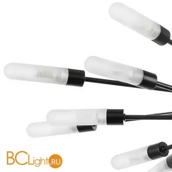 Потолочный светильник Lightstar Ragno 732187 - Фото 1