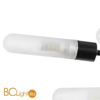 Потолочный светильник Lightstar Ragno 732187 - Фото 2