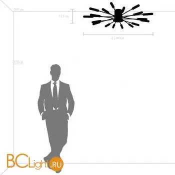 Потолочный светильник Lightstar Ragno 732187 - Фото 3